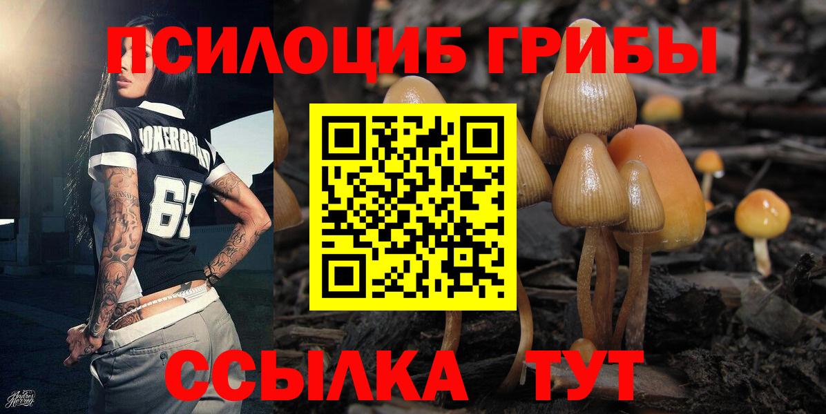 Лобня  Галлюциногенные грибы мухоморы  Вход с VPN 
