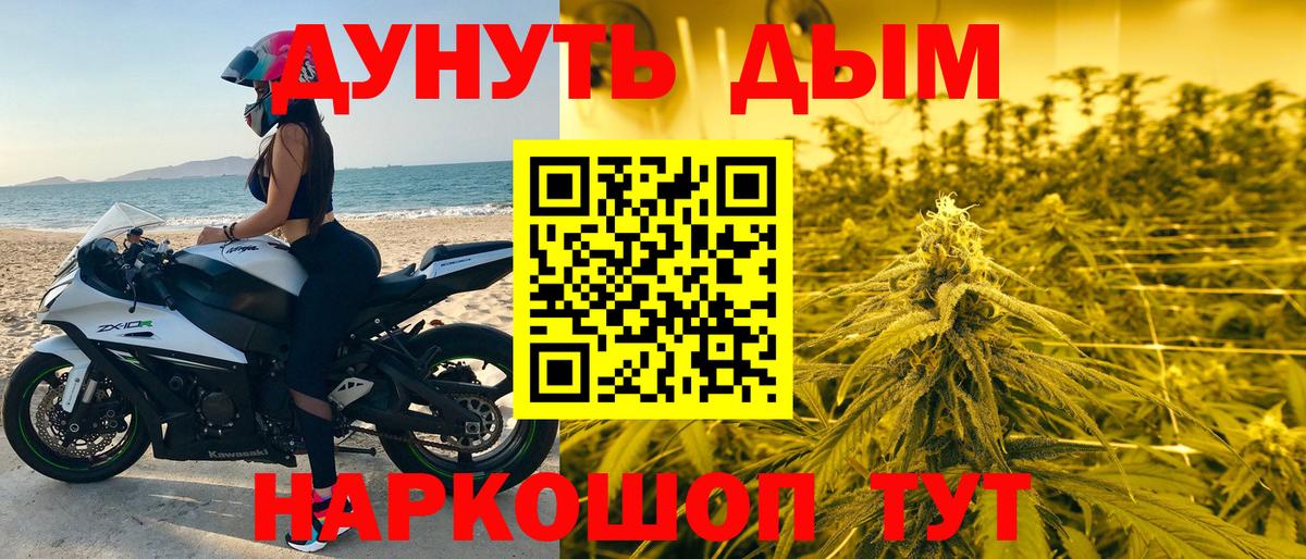 Каннабис сатива Лобня